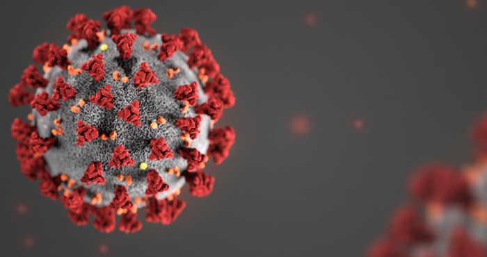 coronavirus